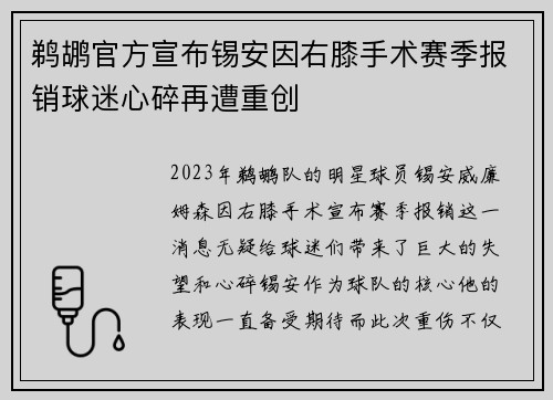 鹈鹕官方宣布锡安因右膝手术赛季报销球迷心碎再遭重创