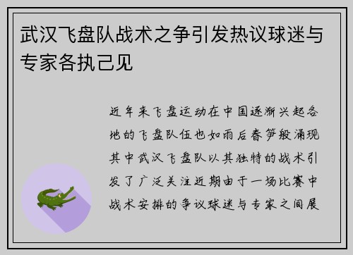 武汉飞盘队战术之争引发热议球迷与专家各执己见