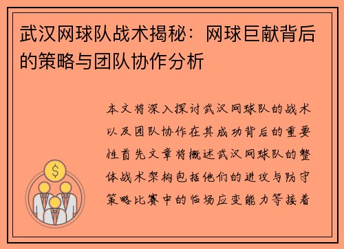 武汉网球队战术揭秘：网球巨献背后的策略与团队协作分析